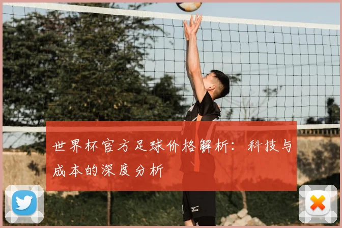 世界杯官方足球价格解析：科技与成本的深度分析