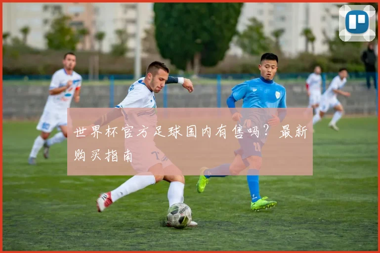 世界杯官方足球国内有售吗？最新购买指南