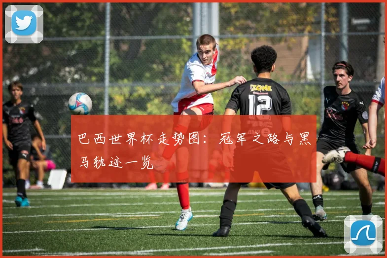 巴西世界杯走势图：冠军之路与黑马轨迹一览