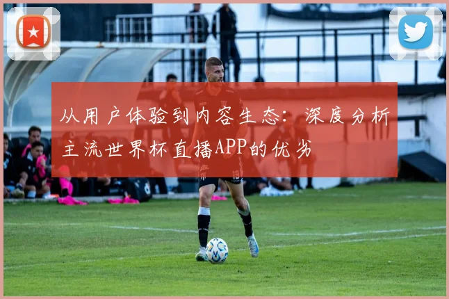从用户体验到内容生态：深度分析主流世界杯直播APP的优劣