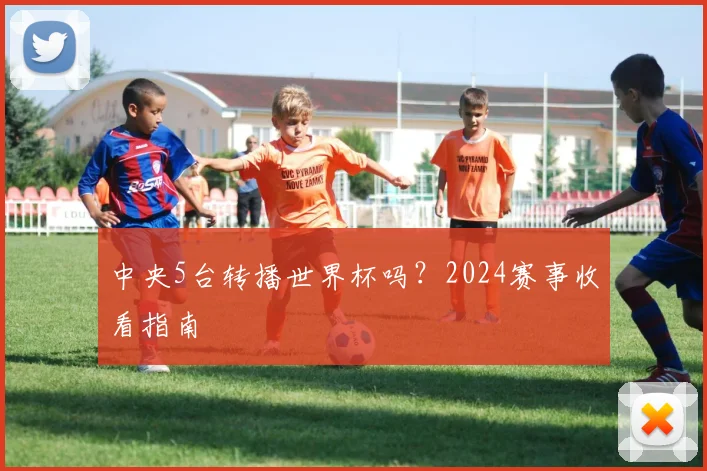 中央5台转播世界杯吗？2024赛事收看指南