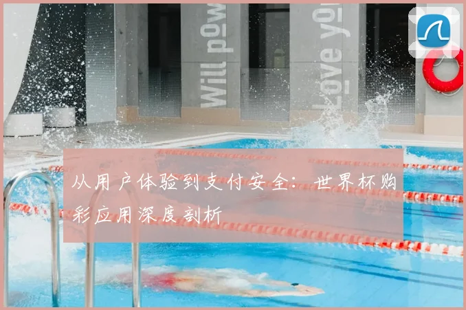 从用户体验到支付安全：世界杯购彩应用深度剖析