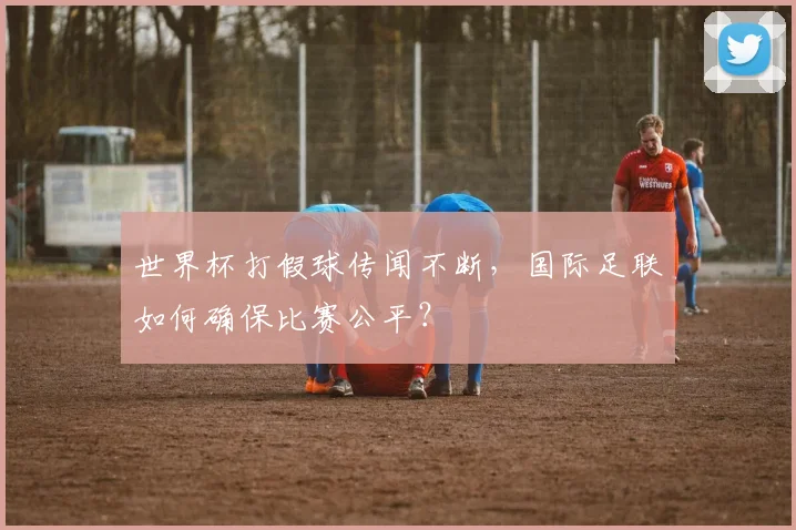 世界杯打假球传闻不断，国际足联如何确保比赛公平？